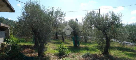 4 bedrooms House in Montecorvino Rovella, Italy No. 377860 38