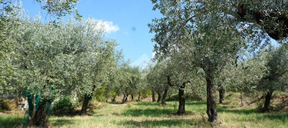 4 bedrooms House in Montecorvino Rovella, Italy No. 377860 51