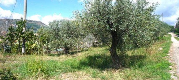 4 bedrooms House in Montecorvino Rovella, Italy No. 377860 50