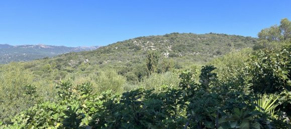 3 Schlafzimmer Haus in Figari, France, Nr. 94199 9