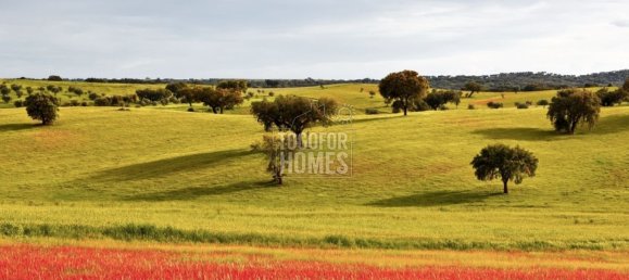 10 bedrooms Castles in Portalegre, Portugal No. 144067 22