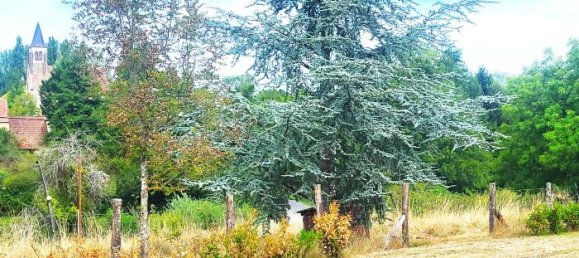 4 bedrooms House in Neuville-les-Decize, France No. 343315 14