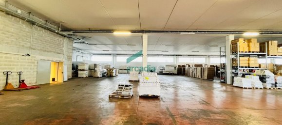 5600m² Warehouse in Bitritto, Italy No. 172386 2