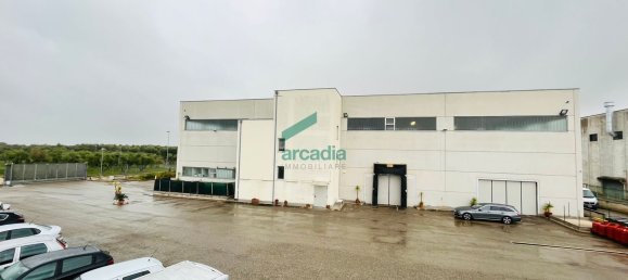 5600m² Warehouse in Bitritto, Italy No. 172386 32