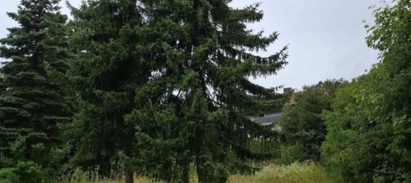  Land in Nurnberger Land, Germany No. 224258 3