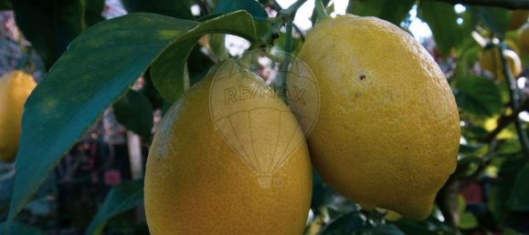 2 غرف نوم منزل في Santa Marinha do Zezere, Portugal رقم 22273 14