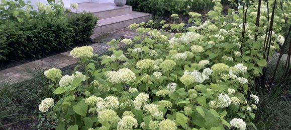 Casa de 2 dormitorios en Wandsbek, Germany No. 291382 5