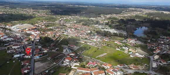 5 bedrooms House in Febres, Portugal No. 157169 5