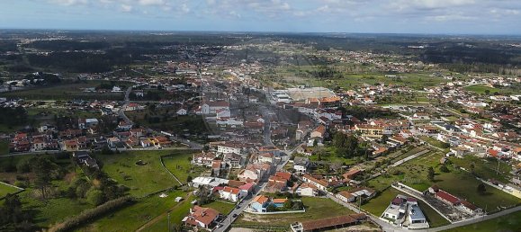 5 bedrooms House in Febres, Portugal No. 157169 7