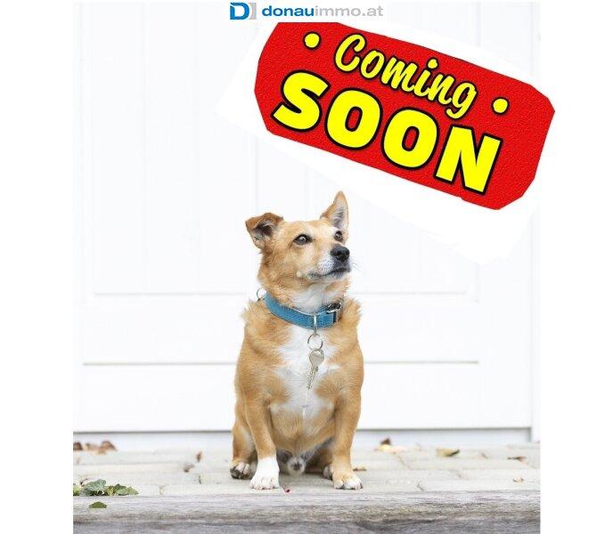 Casa de 6 habitaciónes en Melk, Austria No. 260606