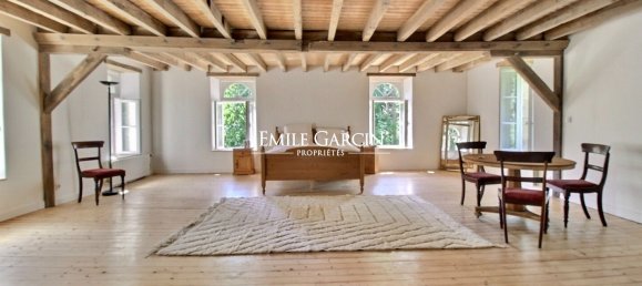 12 bedrooms House in Sarthe, France No. 293131 11