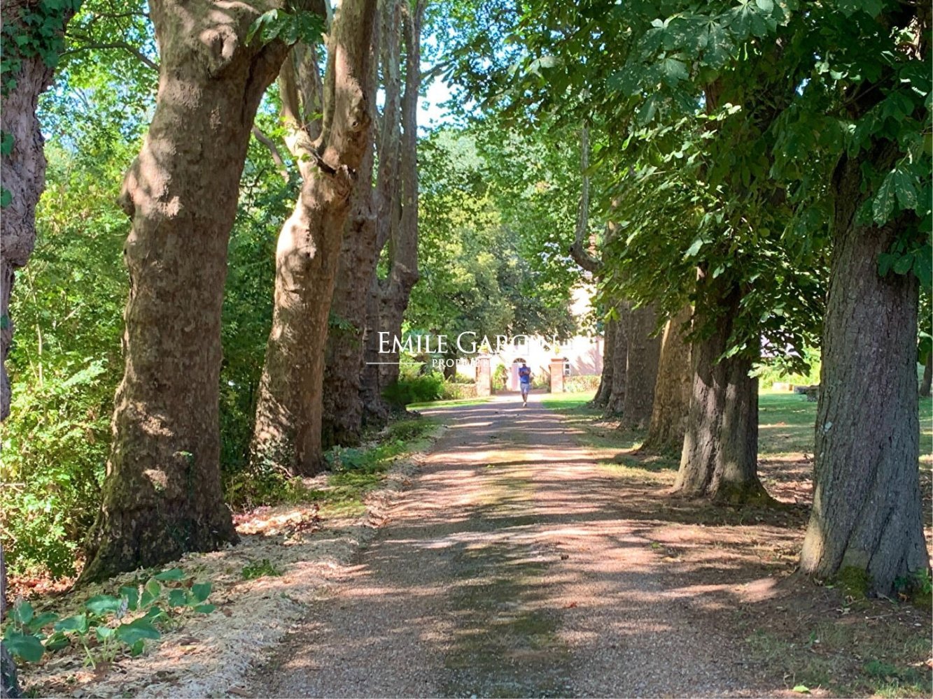 12 bedrooms House in Sarthe, France No. 293131