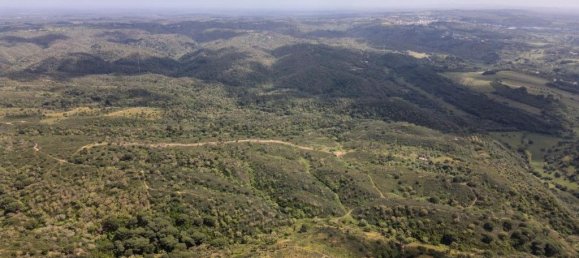 Grundstück in Santiago do Cacem, Portugal 57000m², Nr. 240235 15