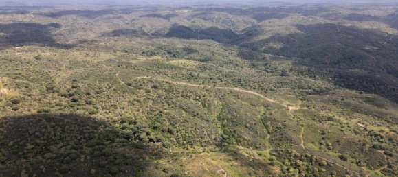 Grundstück in Santiago do Cacem, Portugal 57000m², Nr. 240235 2