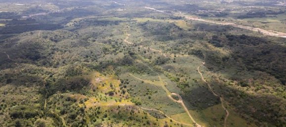 Grundstück in Santiago do Cacem, Portugal 57000m², Nr. 240235 6