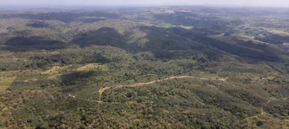 Grundstück in Santiago do Cacem, Portugal 57000m², Nr. 240235 14