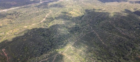 Grundstück in Santiago do Cacem, Portugal 57000m², Nr. 240235 21