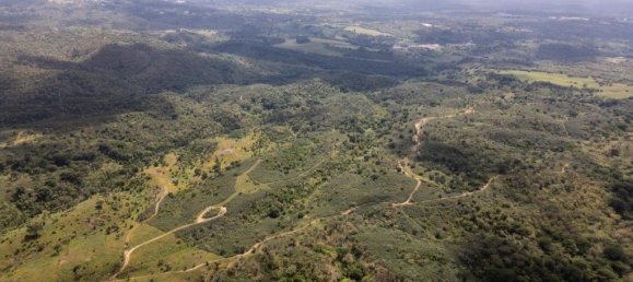 Grundstück in Santiago do Cacem, Portugal 57000m², Nr. 240235 12