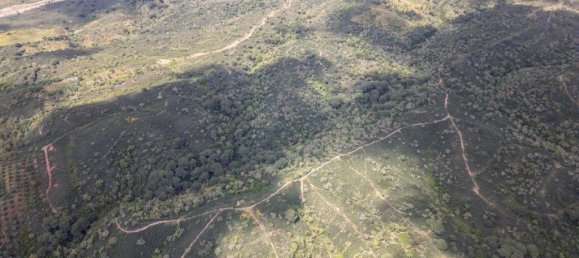 Grundstück in Santiago do Cacem, Portugal 57000m², Nr. 240235 22