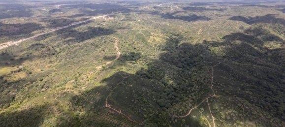 Grundstück in Santiago do Cacem, Portugal 57000m², Nr. 240235 20