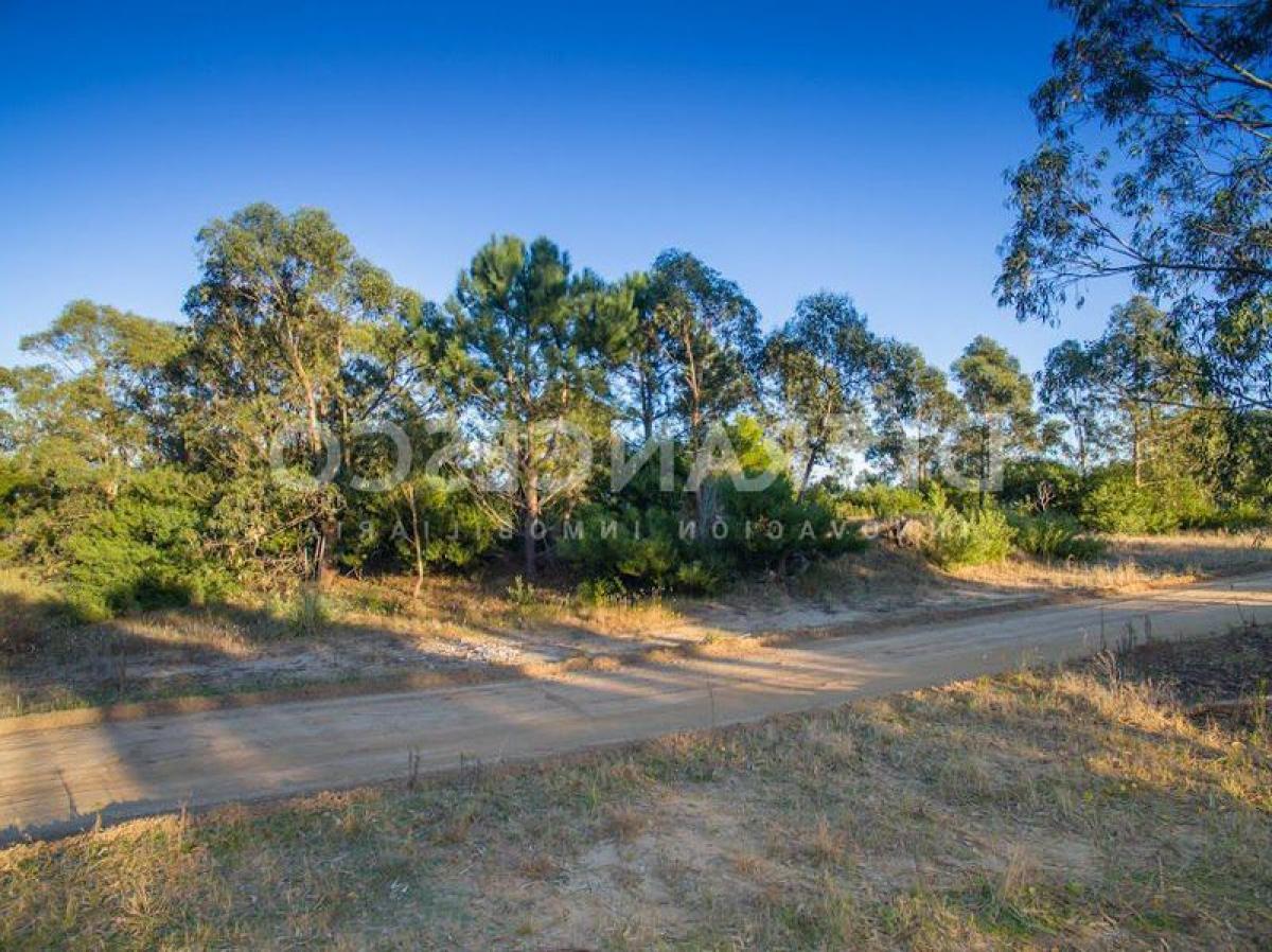  Land in Mar del Plata, Argentina No. 113047