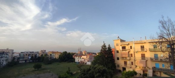 3-Zimmer Wohnung in Naples, Italy, Nr. 274919 12