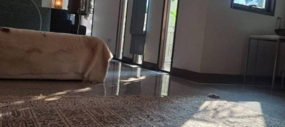 5 chambres Condo à Railay Beach, Thailand No. 63340 7