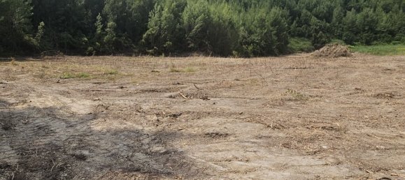 4100m² terrain à vendre à Chalkidiki, Central Macedonia, Macedonia and Thrace, Greece № 92906 2