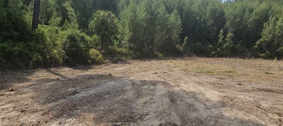 4100m² terrain à vendre à Chalkidiki, Central Macedonia, Macedonia and Thrace, Greece № 92906 5