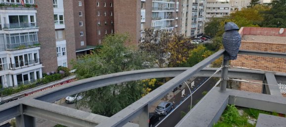 5 bedrooms Penthouse in Madrid, Spain No. 69520 31