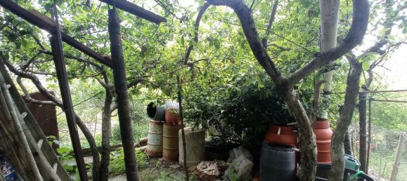 5 chambres Maison à Castiglione Messer Marino, Italy No. 319005 36