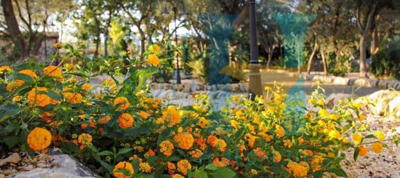 Casa de 8 divisões em Noto, Italy N.º 74216 6