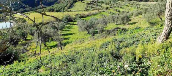 5 bedrooms House in Massa Marittima, Italy No. 158063 24