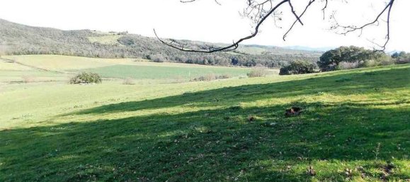 5 bedrooms House in Massa Marittima, Italy No. 158063 13