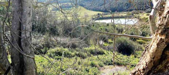 5 bedrooms House in Massa Marittima, Italy No. 158063 25