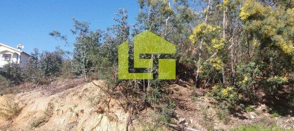 3000m² Land in Coimbra, Portugal No. 71000 2