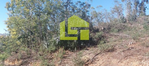 3000m² Land in Coimbra, Portugal No. 71000 3