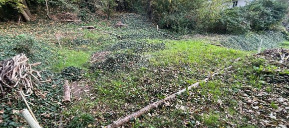 Terreno en Vaux-sur-Seine, France No. 173864 3