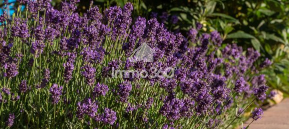 3 غرف نوم منزل في Brandenburg, Germany رقم 27203 6