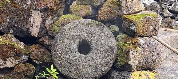 3 bedrooms House in Lajes do Pico, Portugal No. 44486 15