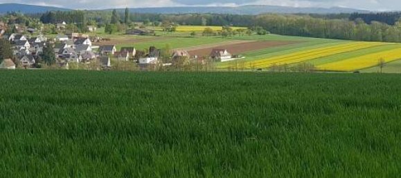 4 Schlafzimmer Haus in Bettlach, France, Nr. 87145 11