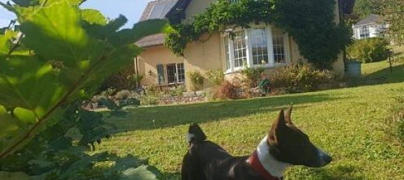 4 Schlafzimmer Haus in Bettlach, France, Nr. 87145 10