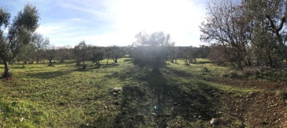 Земельный участок 8300м² в Каровиньо, Италия № 153102 6