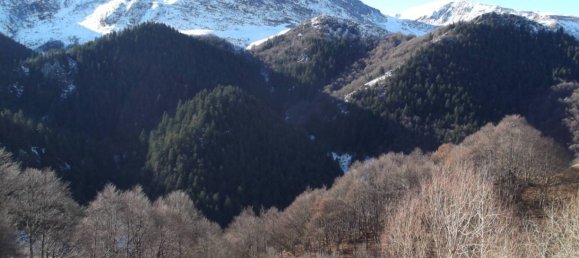 Studio in Frabosa Sottana, Italy No. 56145 19