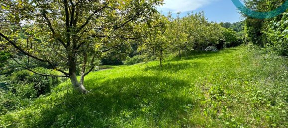  قطعة أرض في Dobling, Austria رقم 191231 5