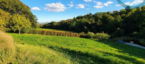  قطعة أرض في Dobling, Austria رقم 191231 2