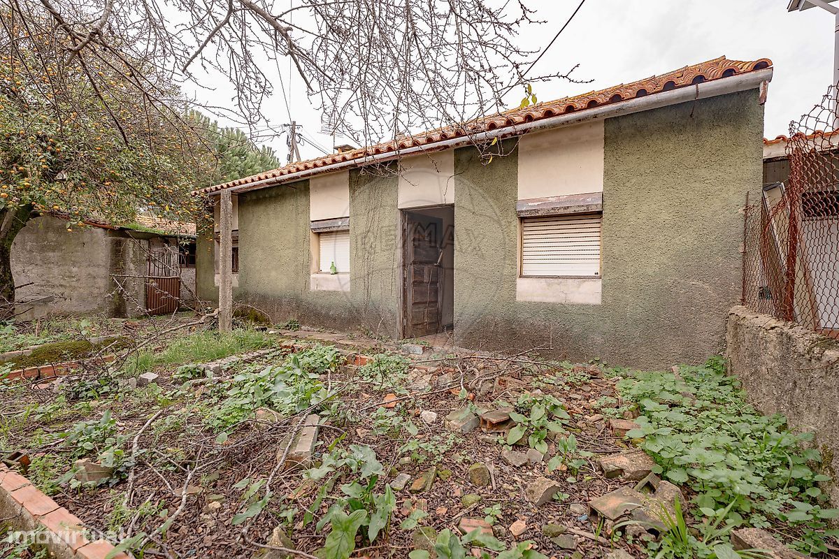 3 bedrooms House in Anadia, Portugal No. 47185