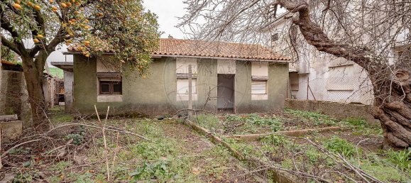 3 bedrooms House in Anadia, Portugal No. 47185 2