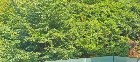 3 غرف نوم منزل ذو طابقين في Kaltenleutgeben, Austria رقم 235619 12