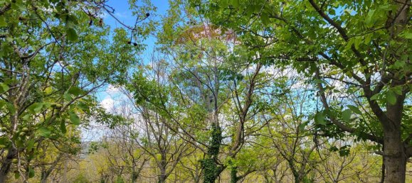 Земельный участок с 1 комнатой в Мерго, Италия № 4777 3